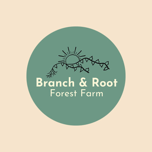 Branch and Root