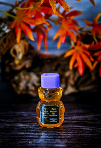 Raw WV Wildflower Honey Bear