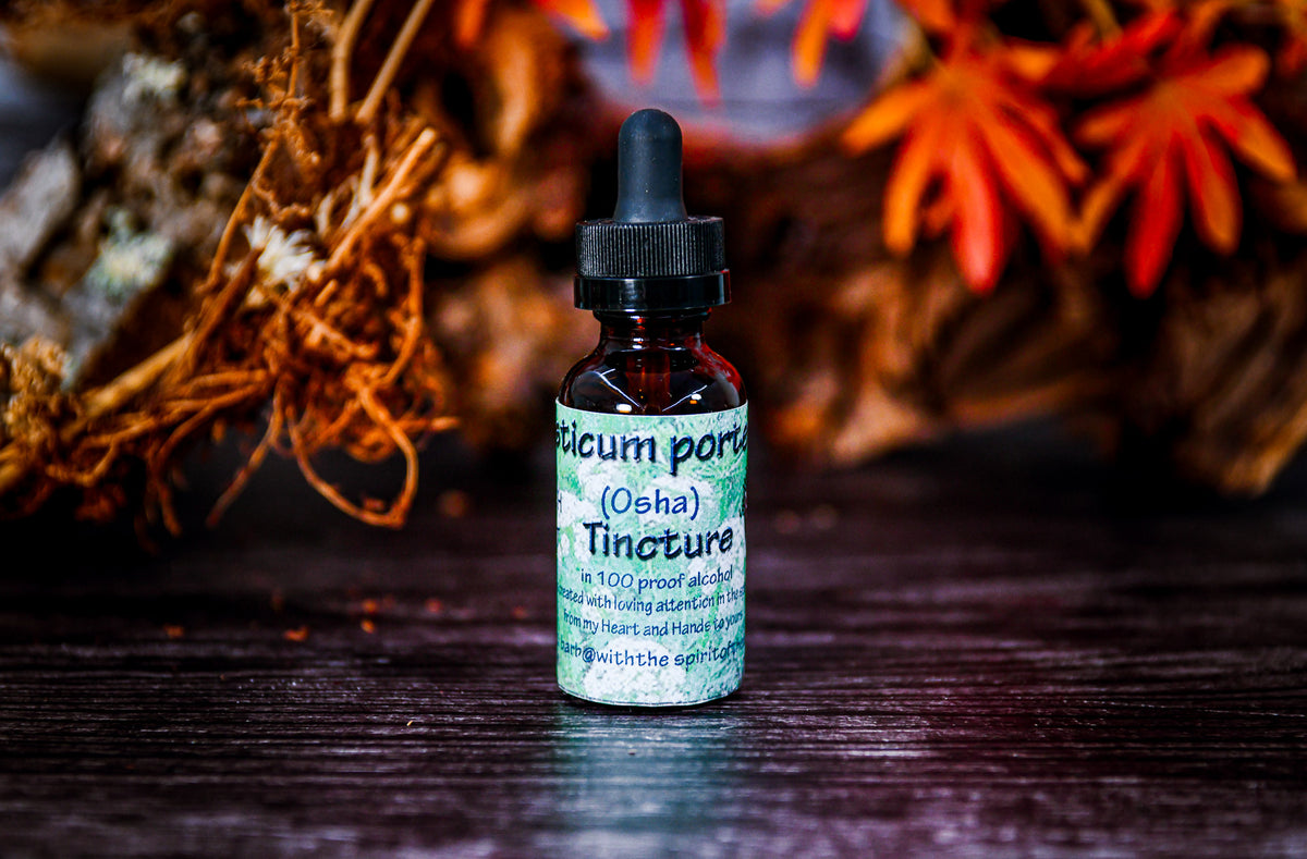 Ligusticum porteri (Osha) Tincture
