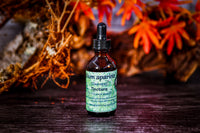 Cleavers (Gallium aparine) Tincture