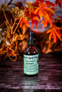 Cleavers (Gallium aparine) Tincture