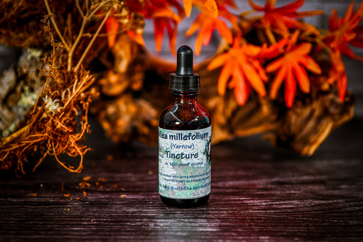 Yarrow (Achillea millefolium) Tincture