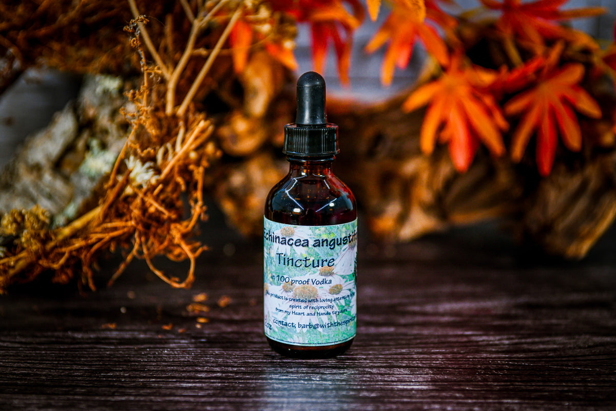 Echinacea (Angustifolia) Root Tincture