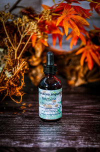Echinacea (Angustifolia) Root Tincture