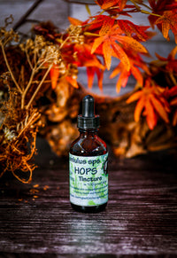 Hops (Humlulus lupulus ) Tincture