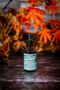 Leonurus cardiaca (Motherwort) Tincture