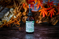 Boneset (Eupatorium perfoliatum) Tincture