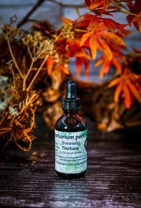 Boneset (Eupatorium perfoliatum) Tincture