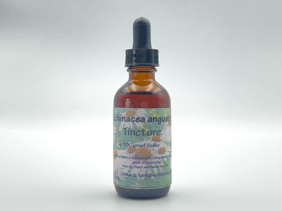 Echinacea (Angustifolia) Root Tincture