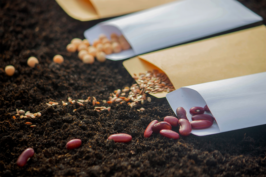 Grow This Free Seeds