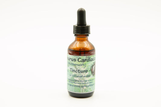 Leonurus cardiaca (Motherwort) Tincture