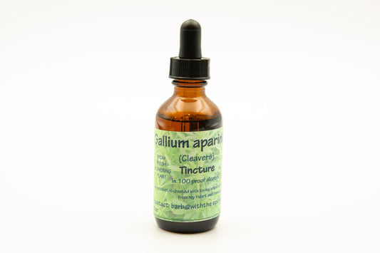 Cleavers (Gallium aparine) Tincture